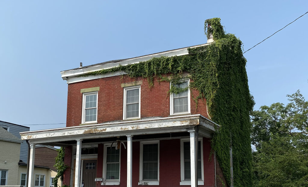 Poughkeepsie house with vine overgrowth